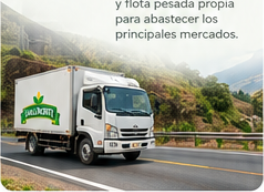 Distribución de Grupo ValleNorte