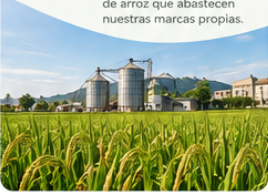 Producción de Grupo ValleNorte